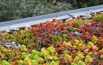 the cost of Moss green roof installation