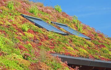 Moss living roof systems