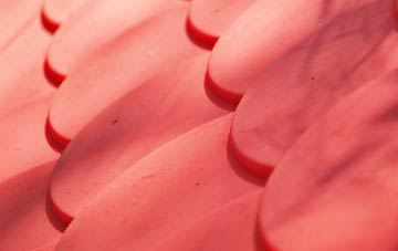 Moss plastic roof costs