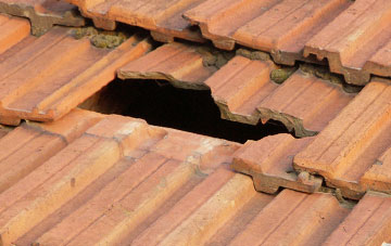 roof repair Moss