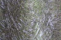 Moss fibreglass roof work